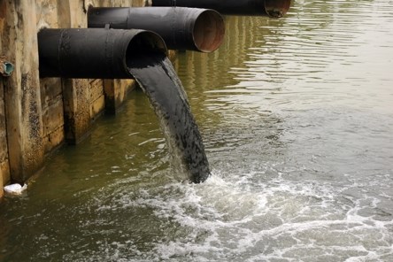 Chăn nuôi lợn gây ô nhiễm môi trường, hai cá nhân bị xử phạt gần 300 triệu đồng