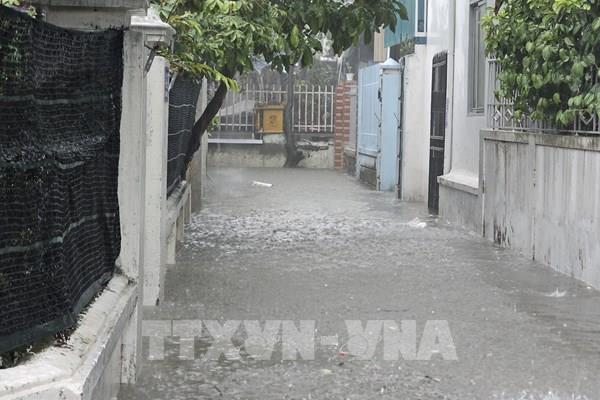 Tin Áp thấp nhiệt đới mới nhất: Mưa to tại nhiều khu vực