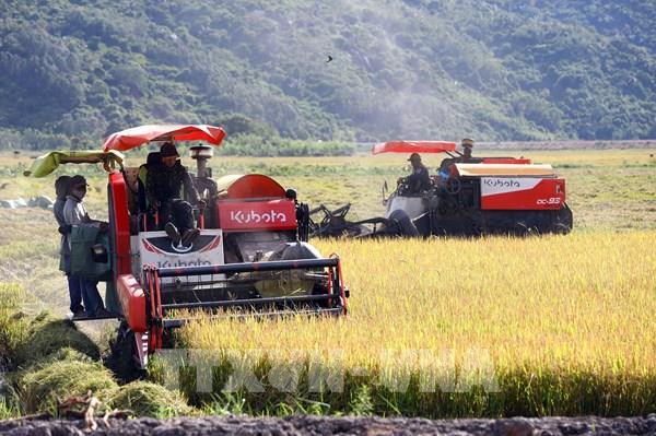 Festival lúa gạo Việt Nam lần đầu tiên được nâng tầm là Festival quốc tế