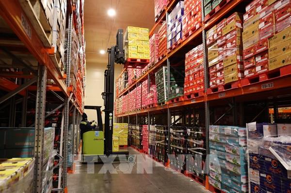 FIATA: Ngành logistics của Việt Nam có nhiều tiềm năng phát triển