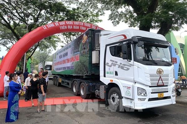 Đồng Nai xuất siêu 4,3 tỷ USD