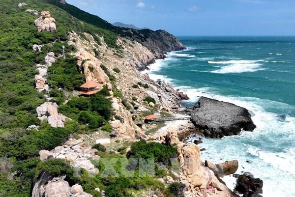 Ninh Thuận làm rõ việc chuyển mục đích sử dụng rừng để thực hiện dự án du lịch