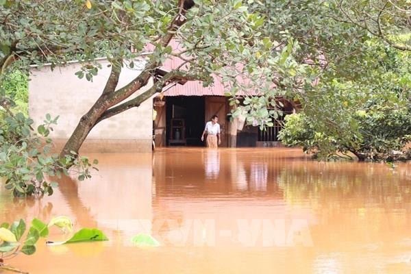 Mưa lớn tại Bình Phước làm ngập nhiều nhà cùng hàng trăm ha cây trồng