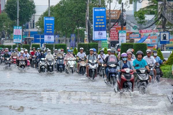 Cần Thơ: Khẩn trương triển khai giải pháp ứng phó với lũ và triều cường