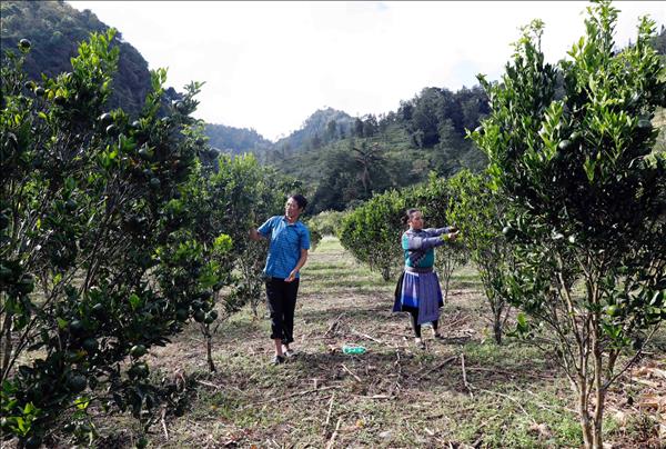 21 năm hành trình gieo niềm vui và khát vọng