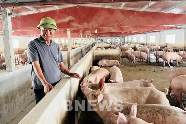 Gương Nông dân Việt Nam xuất sắc: Thu nhập tiền tỷ từ nuôi lợn an toàn sinh học