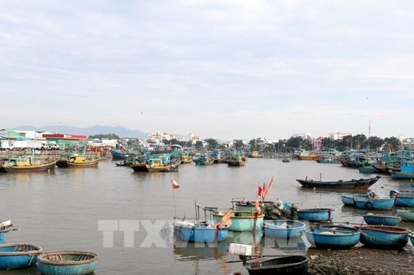 Khắc phục "thẻ vàng" IUU: Xử lý dứt điểm đối với nhóm tàu cá “3 không”