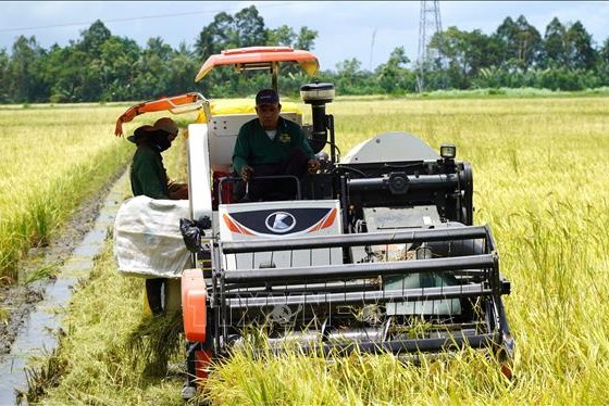 Kiên Giang tranh thủ thời cơ bứt phá các lĩnh vực kinh tế chủ lực