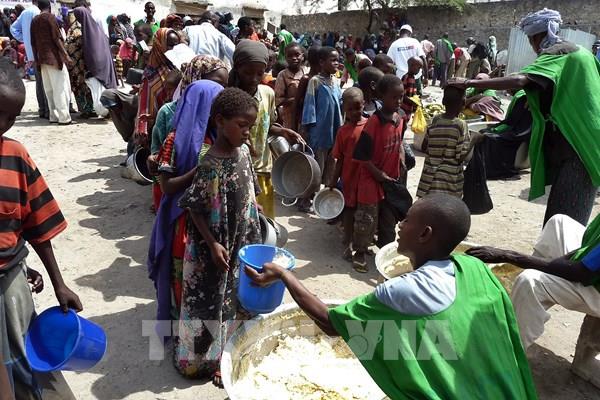 Thế giới đứng trước thách thức lớn về an ninh lương thực