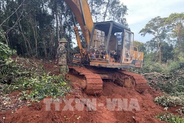 Đắk Nông: Bắt quả tang đối tượng dùng máy múc phá rừng