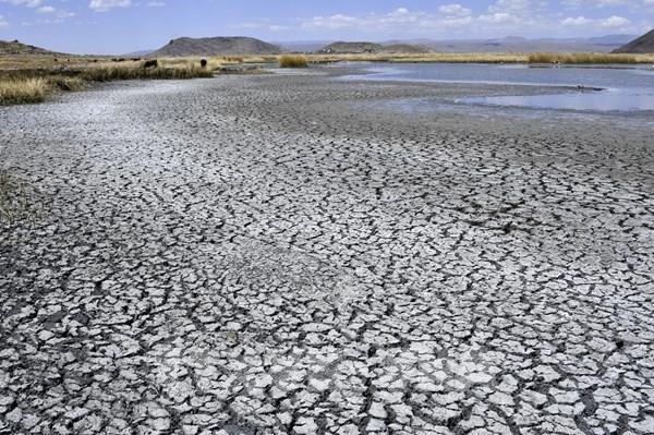 Biến đổi khí hậu gây nắng nóng bất thường ở Nam Mỹ