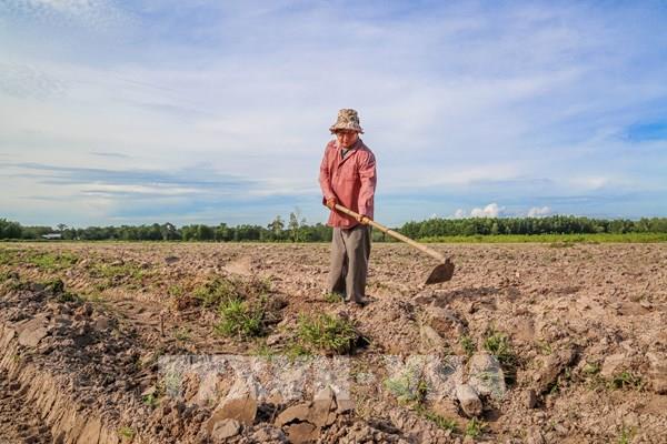 Tín dụng với người hoàn lương: Điểm tựa tái hòa nhập cộng đồng