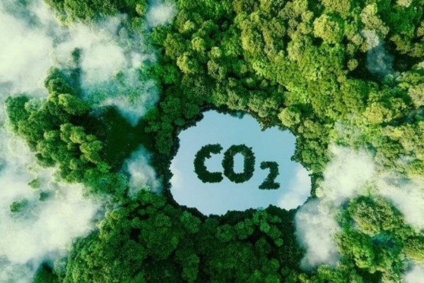 Nhật Bản: Sàn chứng khoán Tokyo mở nền tảng giao dịch tín chỉ carbon