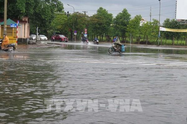 Mưa lớn từ Nghệ An đến Quảng Ngãi, đề phòng lũ quét