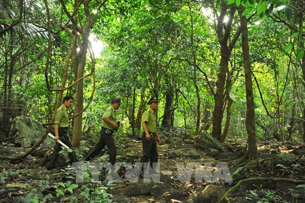 Những chính sách mới nổi bật có hiệu lực trong tháng 2/2025