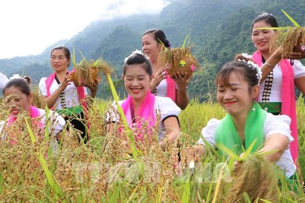 Lên Lai Châu xem Lễ hội Kin lẩu khẩu mẩu của người Thái