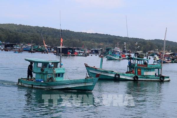 Quản lý chặt tàu cá, thực hiện nghiêm Luật Thủy sản