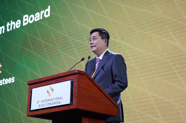 Nghiên cứu thành công giống lúa có chỉ số đường huyết cực thấp   