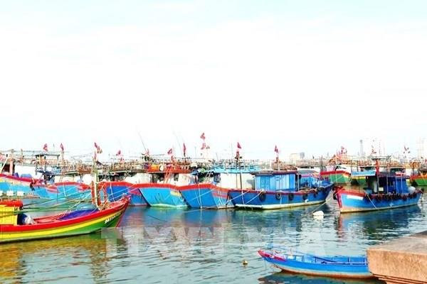 Quảng Bình cấm biển từ 0 giờ ngày 18/10
