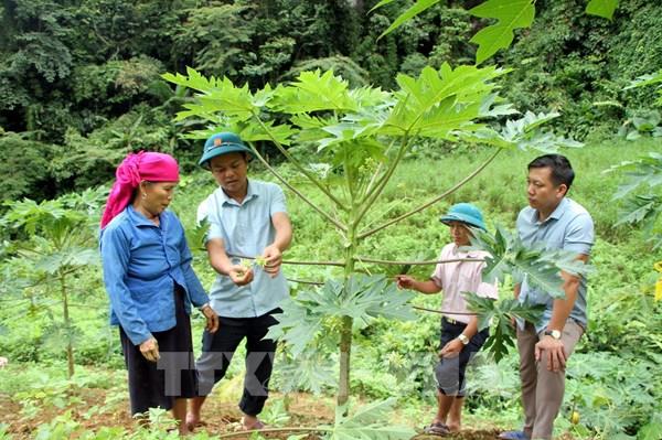 Loay hoay giữ chuẩn nông thôn mới