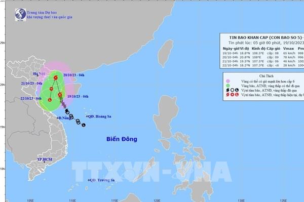 Bão số 5: Thái Bình cấm biển từ 6 giờ ngày 19/10