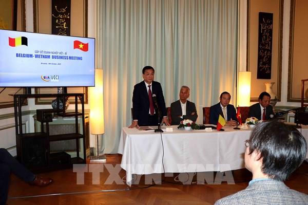 Các doanh nghiệp Việt Nam và Bỉ mở rộng hợp tác