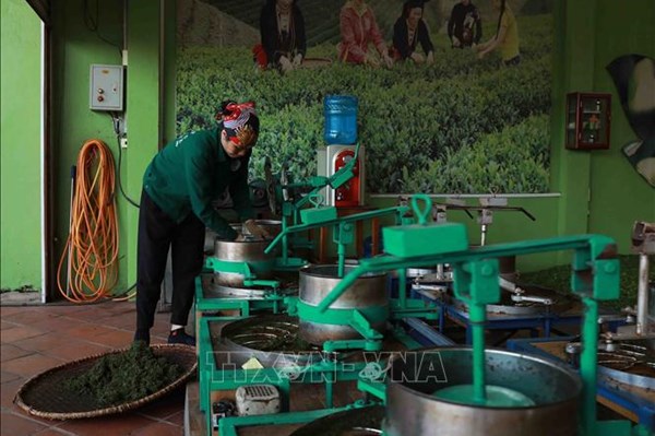 Thái Nguyên phát triển các sản phẩm, hàng hóa có thương hiệu đặc trưng