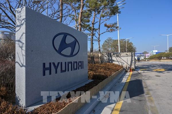 Hyundai và Kia đạt thị phần kỷ lục tại Mỹ