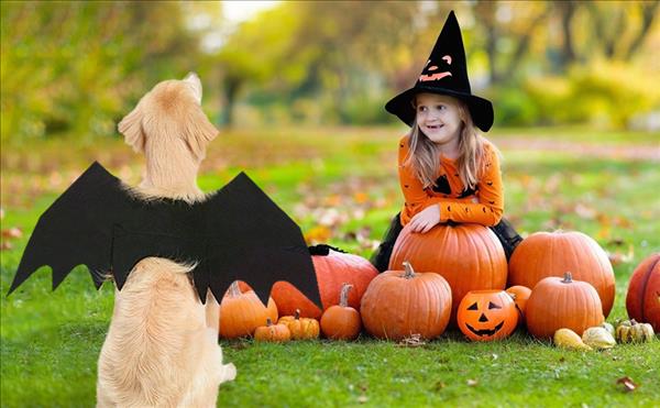 Chọn trang phục hóa trang Halloween cho bé gái