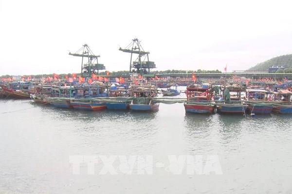 Lợi ích khi xây dựng bến cảng số 3 container Long Sơn ​