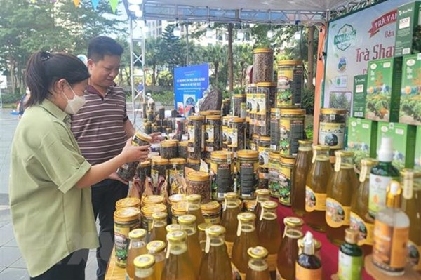 Festival nông sản Hà Nội 2023 có quy mô hơn 160 gian hàng tham gia 