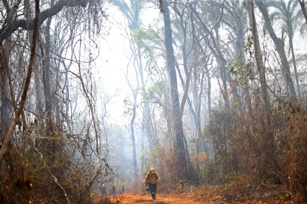 Cháy rừng khiến hàng nghìn trường học tại Bolivia phải đóng cửa