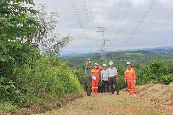 PTC3 tập trung bảo vệ an toàn hành lang lưới điện thời điểm cuối năm