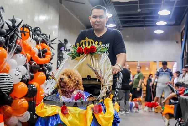 Tổng hợp sự kiện quốc tế nổi bật trong tuần qua ảnh (từ ngày 23-29/10/2023)