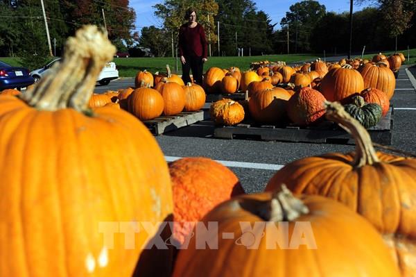 Lời chúc Halloween 2025 hay và ấn tượng nhất