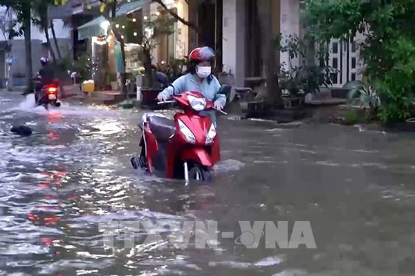 TP. HCM ứng phó triều cường lên cao kết hợp với mưa lớn