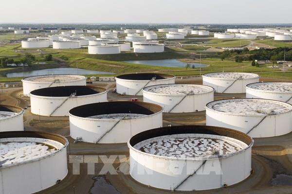 Những kịch bản khác nhau của giá dầu thế giới