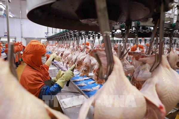 Doanh nghiệp thực phẩm, đồ uống linh hoạt điều chỉnh chiến lược cung ứng