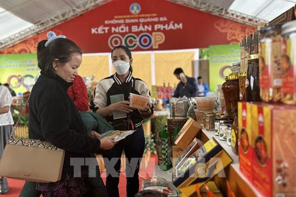 Lâm Đồng kết nối tiêu thụ sản phẩm vùng miền 