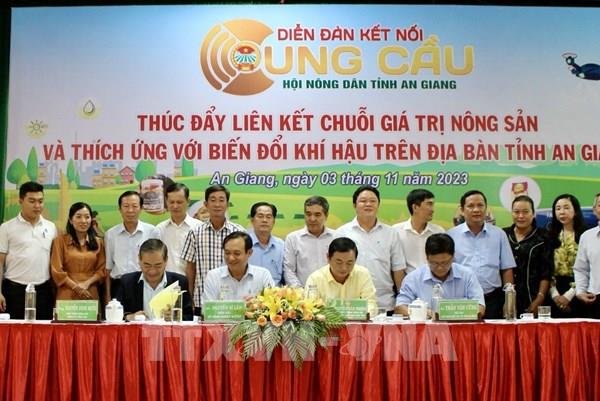 Xóa dần điểm nghẽn đất đai, hình thành cụm kinh doanh nông sản