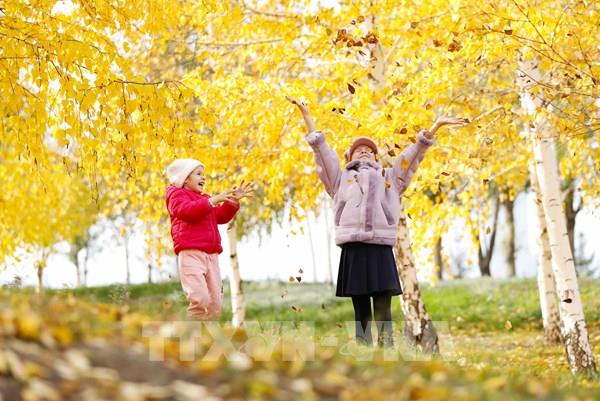 Nhiều quốc gia đón nhận cảnh sắc mùa Thu quyến rũ
