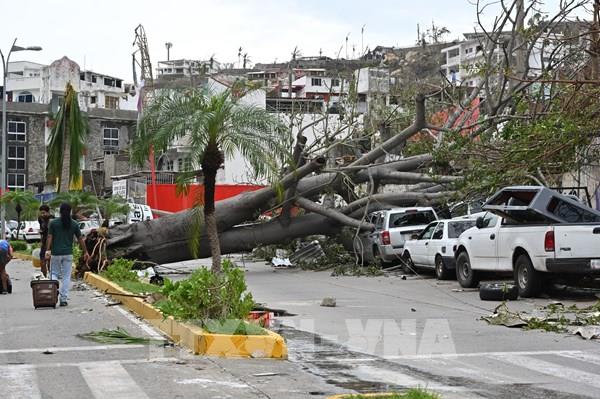 Nhiều trường học tại Mexico vẫn đóng cửa sau siêu bão Otis