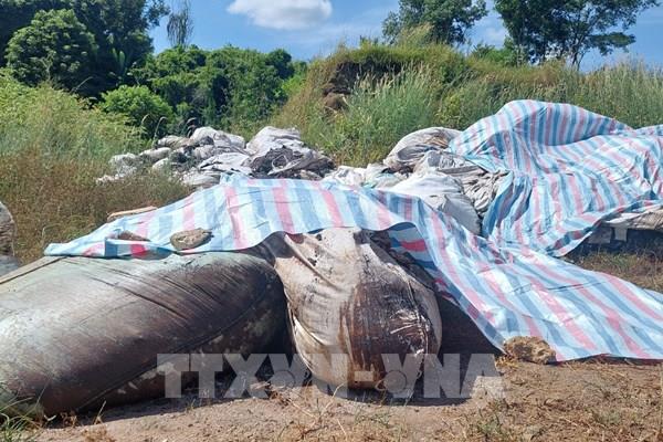 Đã xác định được nguồn gốc chất thải đổ trộm tại huyện Châu Đức (Bà Rịa-Vũng Tàu)