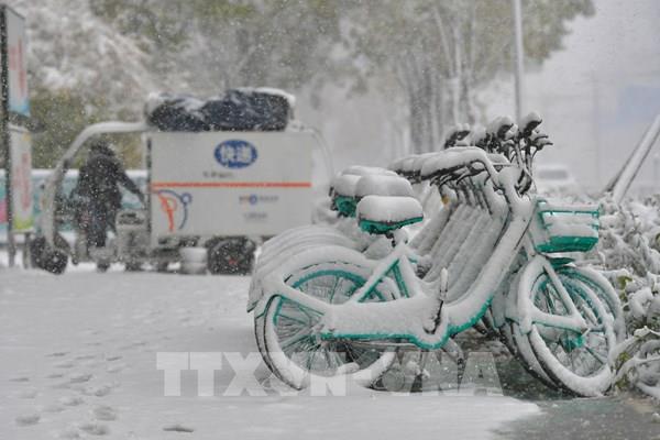  Cận cảnh bão tuyết sớm tại Trung Quốc