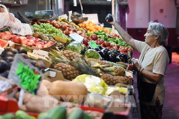 Tăng trưởng kinh tế quý I/2024 của Eurozone đạt 0,3%