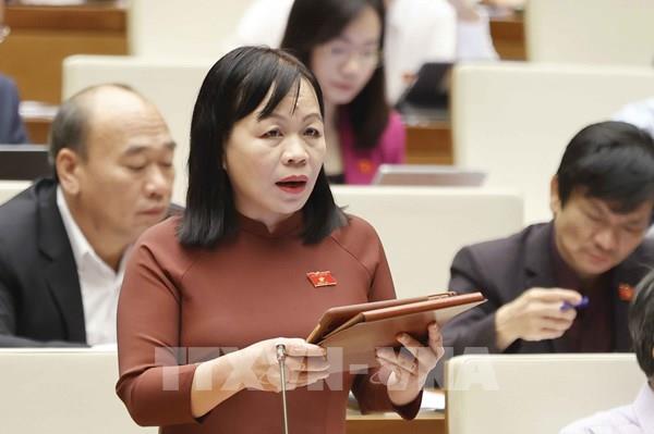 Đại biểu Quốc hội quan tâm tiến độ dự án Cảng hàng không quốc tế Long Thành