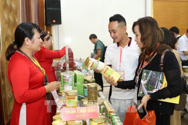 Gần 300 doanh nghiệp tham gia Hội chợ thương mại quốc tế Việt - Trung năm 2023