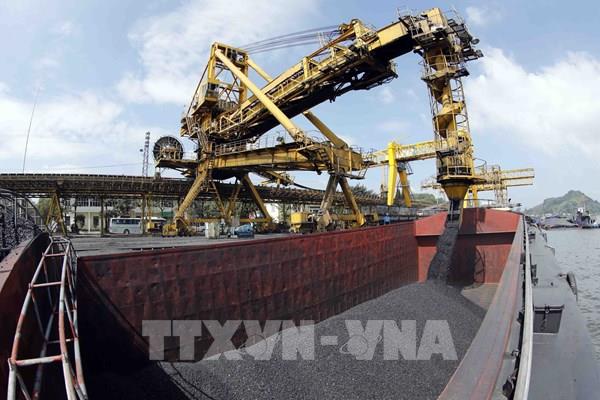 bnews.vn