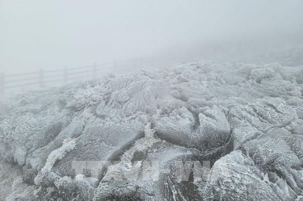 Hàn Quốc đón đợt tuyết rơi đầu tiên trong năm