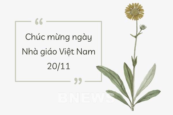 Lời chúc 20/11 ý nghĩa gửi tới thầy cô kính yêu